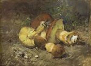 Funghi Porcini by Giuseppe Casciaro