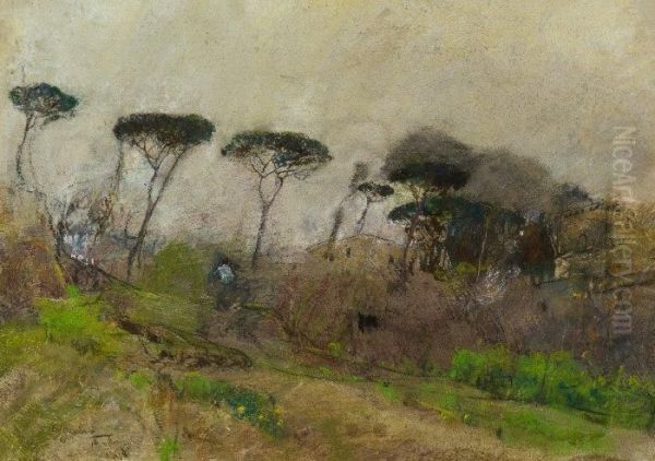 Paesaggio - view 1