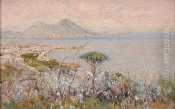 Veduta Del Golfo Di Napoli - view 1