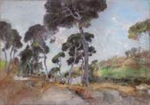 Pineta D'ischia by Giuseppe Casciaro