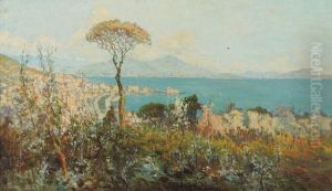 Riva Chiaia Riva Chiaia