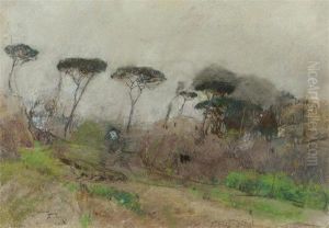 Landscape With Pine Trees by Giuseppe Casciaro