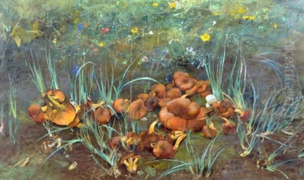 Natura Morta Con Funghi - view 1