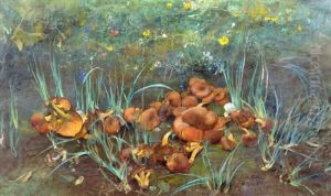 Natura Morta Con Funghi by Giuseppe Casciaro