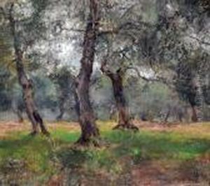 Oliveto A Castro Oliveto A Castro