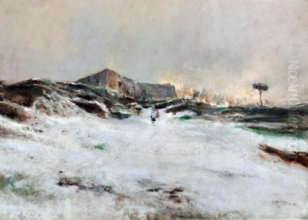 Nevicata - view 1