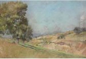 Paesaggio Paesaggio