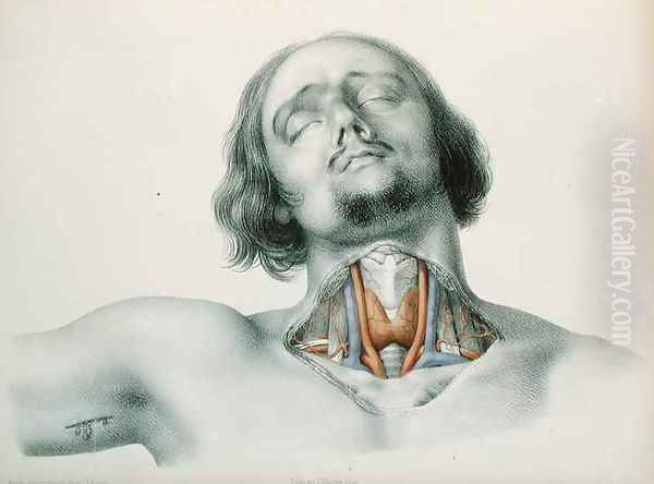 Cross section of the throat - view 1