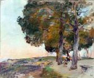 Paesaggio Paesaggio