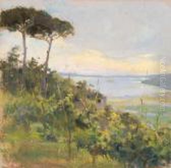 Paesaggio Costiero Con Pini Marittimi - view 1