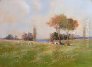 Paesaggio Paesaggio