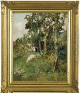 Paesaggio Con Pascolo