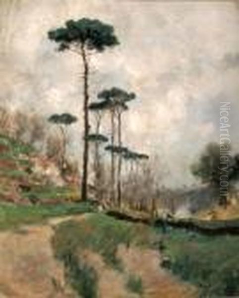 Paesaggio Alberato - view 1