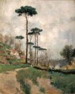 Paesaggio Alberato