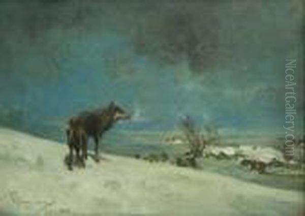 Lupo Nel Paesaggio Innevato - view 1