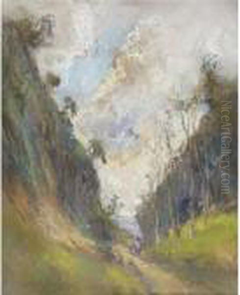 Sentiero Verso Il Mare - view 1