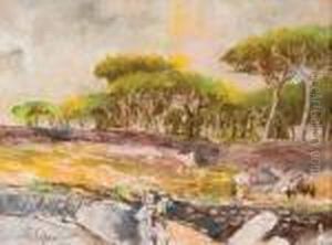 Paesaggio Con Pineta by Giuseppe Casciaro