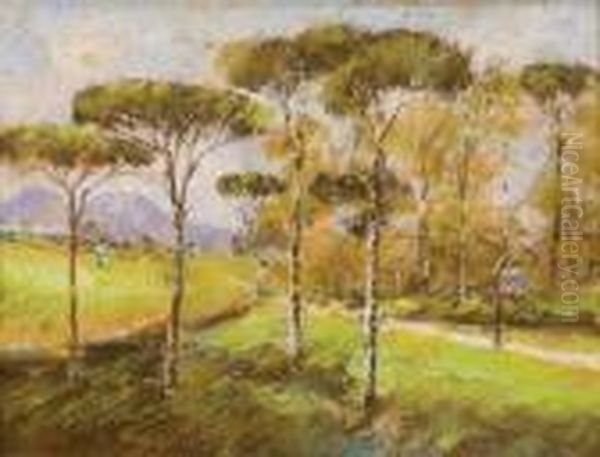 Strada Tra I Pini - view 1