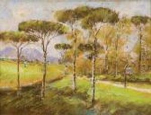 Strada Tra I Pini