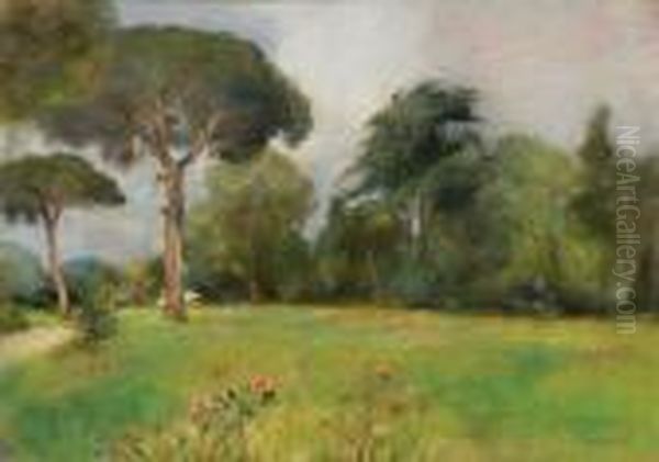 Parco Fiorentino - view 1