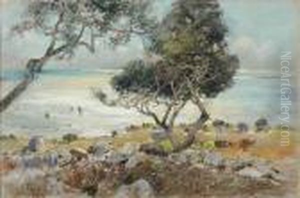 Paysage De Bord De Mer - view 1
