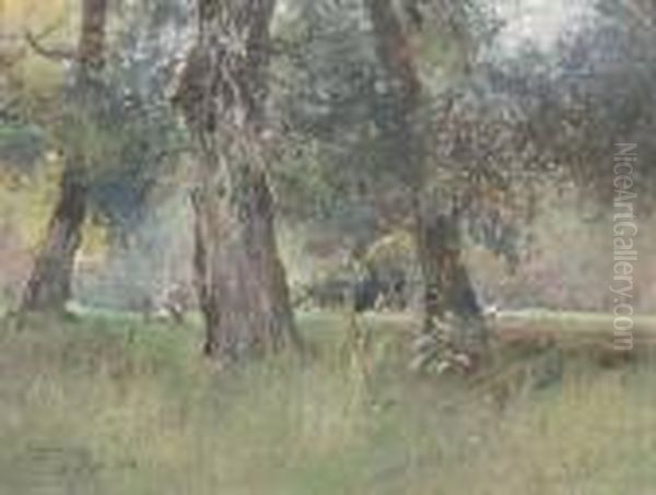 Nel Bosco - view 1