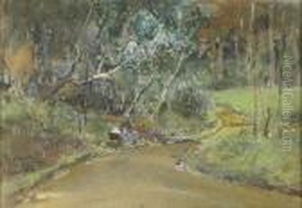 Strada Nel Bosco - view 1