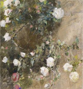 Rose Bianche Rampicanti Rose Bianche Rampicanti