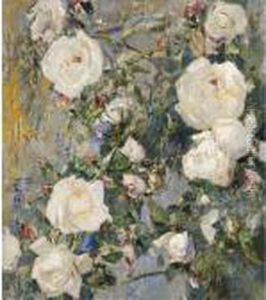 Rose Bianche Rose Bianche