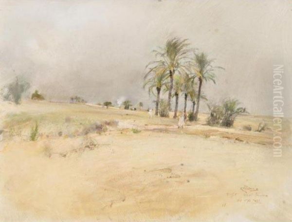 Oasi Tunisina - view 1