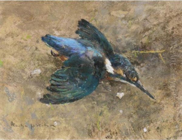 Martin Pescatore - view 1