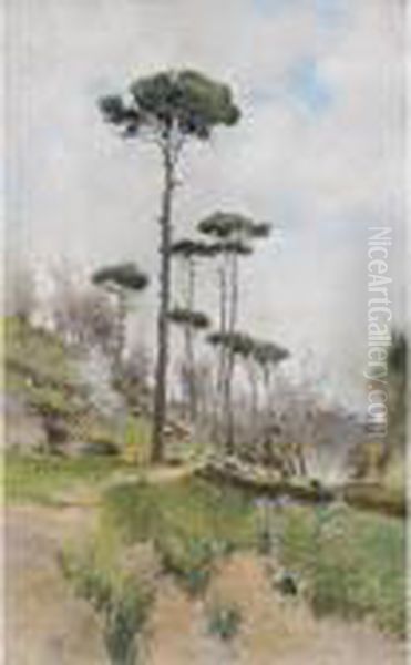 Paesaggio Con Alberi - view 1