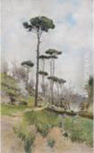Paesaggio Con Alberi Paesaggio Con Alberi