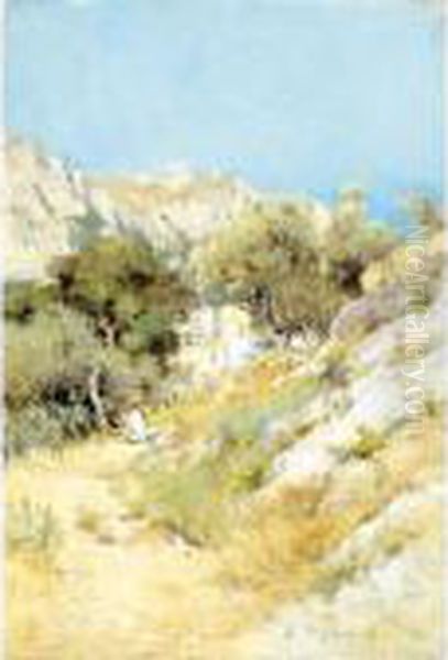 Veduta Di Capri - view 1