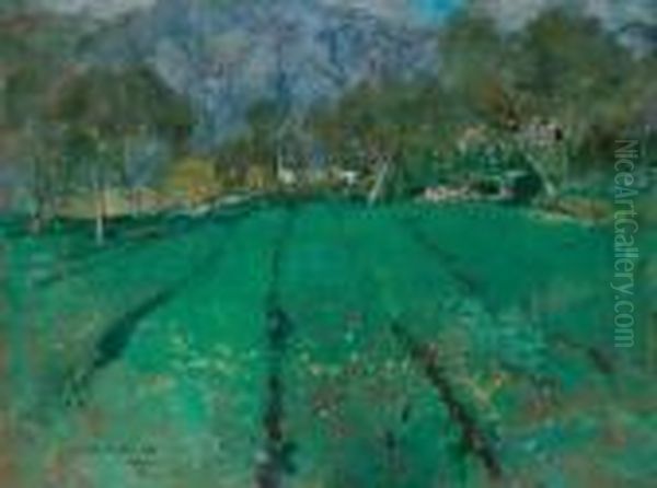 Paesaggio - view 1