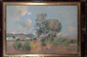 Paesaggio Paesaggio