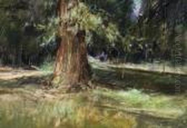 "vecchio Gigante" 14/7/1922 - view 1
