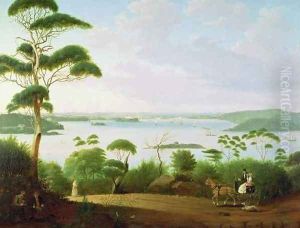 Sydney Harbour looking towards Sydney by Jacob Janssen
