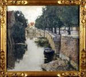 Canal Arbore
