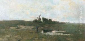 Sunset Over Marshlands