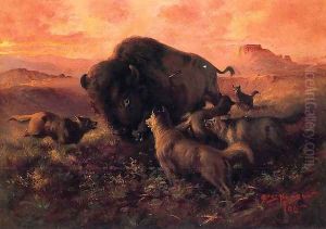 The Wounded Buffalo by Frank Johnson