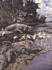 Swamp Animals and Birds on the River Gambia by Harry Hamilton Johnston
