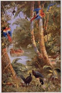 Raleighs Men on the Orinoco by Harry Hamilton Johnston