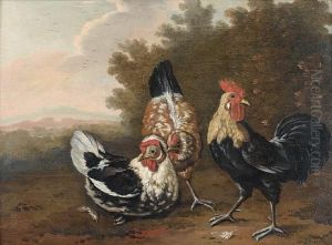 Ornamental Fowl In A Wooded Landscape