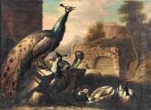 Peacocks With Ducks In A River Landscape