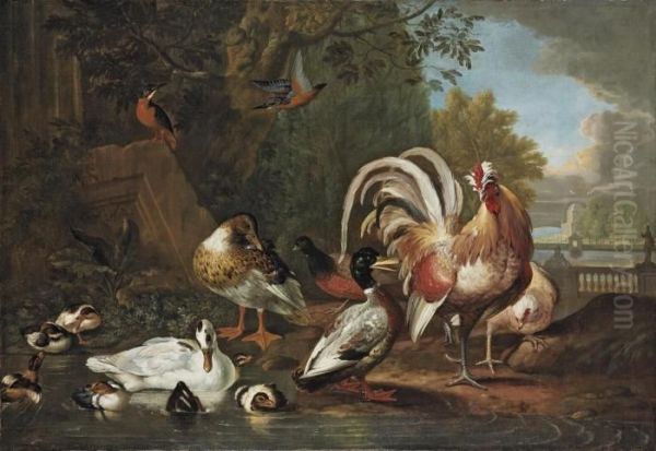 A Cockerel - view 1