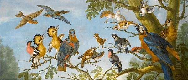 A Concert Of Birds - view 1