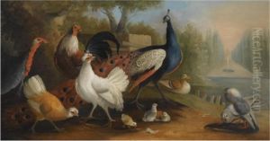A Peacock, A Turkey, Chickens And Doves In A Garden Setting