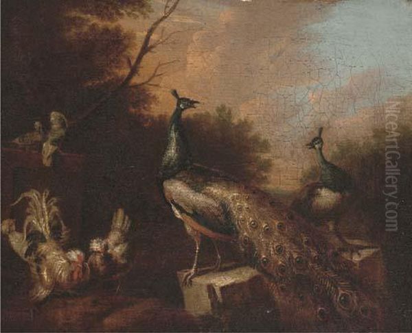 Peacocks And Chickens In A Landscape - view 1
