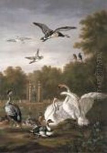 A Park With Swans, Ducks And Other Birds By A Pond by Pieter Casteels